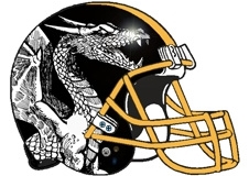 steel-dragons-fantasy-football-helmets-logos