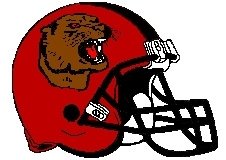 Cougars Fantasy Football Helmet Logo