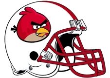 angry-birds-arizona-cardinals-helmet