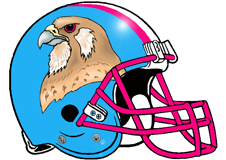 Falcons Fantasy Football Helmet Logo