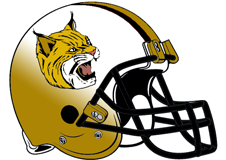 bobcats-fantasy-football-helmet