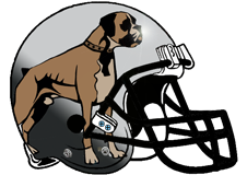 Boxer Fantasy Football Helmet Logo