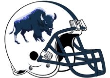 buffalo-fantasy-football-helmet