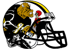 Bulls Fantasy Football Helmet Logo