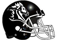 Knights Fantasy Football Helmet Logo