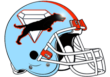 diamond-dogs-fantasy-football-helmet