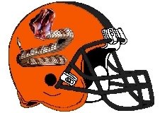 Diamondbacks Fantasy Football Helmet Logo