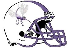 Dragonfly Fantasy Football Helmet Logo