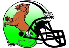 fighting-otter-football-helmet