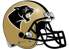 gold-panthers-fantasy-football-helmet