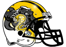 Honey Badger Fantasy Football Helmet