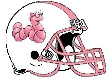 Bookworm Fantasy Football Helmet Logo