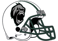 jet-city-apes-fantasy-football-team-name