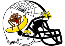 jon-gruden-spider-2y-banana-fantasy-football-helmet