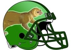kinkajou-fantasy-football-helmet