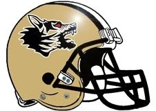 mad-angry-rabid-dog-fantasy-football-helmet-logo