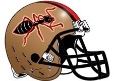 marching-ants-fantasy-football-helmet