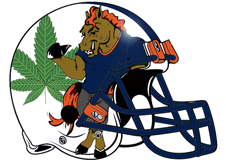 mile-high-broncos-fantasy-football-helmet