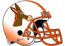 orange-donkeys-fantasy-football-helmet