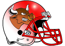 Bulls Fantasy Football Helmet Logo