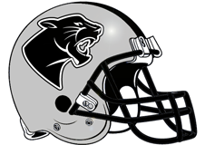 silver-panthers-fantasy-football-helmet