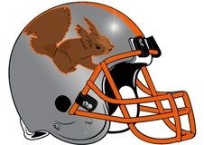 squirrel-fantasy-football-helmet