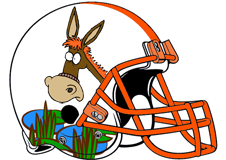 swamp-donkeys-fantasy-football-team-helmet