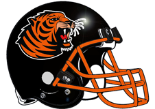 tiger-fantasy-football-helmet