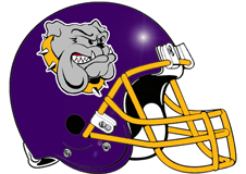 vikings-bulldogs-fantasy-football-helmet