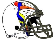 Woodpecker Fantasy Football Helmet