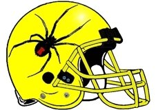 Black Widows Fantasy Football Helmet Logo
