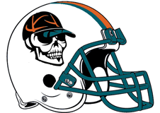 dolphins-skull-cap-fantasy-football-helmet