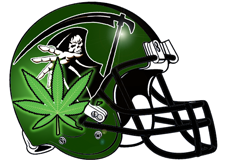 Grim Reefers Fantasy Football Helmet