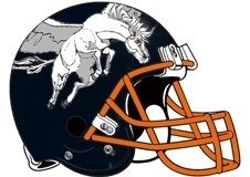 jay-cutler-white-pegasus-football-helmet