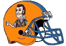 Waterboys Fantasy Football Logo Helmet