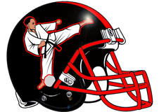 martial-arts-fantasy-football-helmet