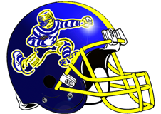 rookies-fantasy-football-helmet