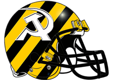 cagey-bees-fantasy-football-helmet