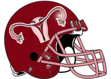 fighting-fallopians-fantasy-football-helmet