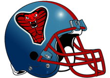 gi-joe-cobra-fantasy-football-logo