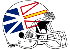newfoundland-flag-fantasy-football-team