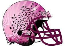 pink-sun-fantasy-football-helmet-logos