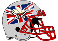 Sydney Swashbucklers Fantasy Football Helmet