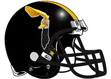 waving-terrible-towel-fantasy-football-helmet